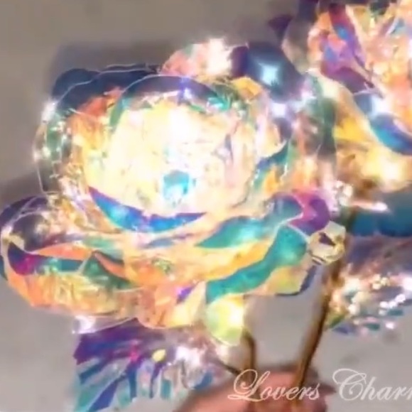 Meet your Posher, Nailani - Picture 1 of 1